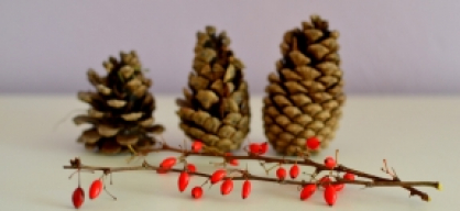 DIY: xmas decoration from pine cones
