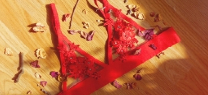 {Dresslily} Floral Mesh Bra & Bow-Tie Stockings