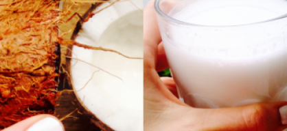DIY: homemade coconut milk
